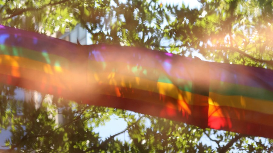 Rainbow flag in warm sunlight