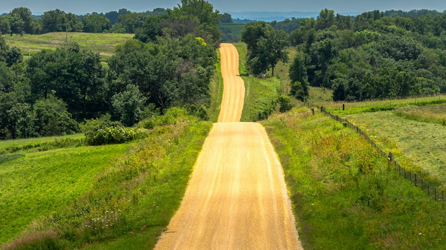 Country road through green fields